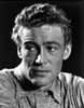 Peter O'Toole Photo Print - Item # VARCEL683966