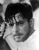 Giancarlo Giannini with wet hair Photo Print - Item # VARCEL684537
