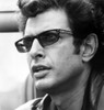 Jeff Goldblum in Jurassic Park Photo Print - Item # VARCEL684786