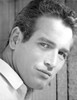 Paul Newman Photo Print - Item # VARCEL686326