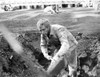 Paul Newman Shoveling Garbage in Formal Outfit Black and White Photo Print - Item # VARCEL686345