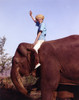 Jay North Riding on Elephant in Blue Short Sleeve Shirt with Right Hand Raised Up Waving Photo Print - Item # VARCEL686466