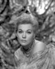 Portrait of Kim Novak Black and White Photo Print - Item # VARCEL686491