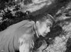 Ronald Reagan Classic Crawling on Ground Photo Print - Item # VARCEL687035