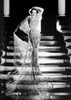 Joan Crawford wearing a Long Gown while on the Stairs in a Classic Portrait Photo Print - Item # VARCEL688776