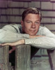 Peter Graves Leaning in Classic Portrait Photo Print - Item # VARCEL696230