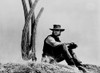 Clint Eastwood sitting in Front of Cactus, wearing Cowboy Outfit Photo Print - Item # VARCEL696572