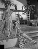 Rita Hayworth posed in Swimwear with A Woman Photo Print - Item # VARCEL698450