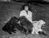 Katharine Hepburn Seated Outdoor with Three Dogs Photo Print - Item # VARCEL699069