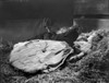 A scene from Man's Castle Photo Print - Item # VARCEL699280