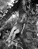 Brenda Joyce sitting on a Tree Photo Print - Item # VARCEL700698