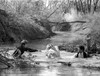 A scene from Bonnie and Clyde Photo Print - Item # VARCEL702149