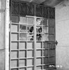 A scene from Androcles and the Lion Photo Print - Item # VARCEL702888
