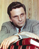 Peter Falk wearing Formal Suit Portrait Photo Print - Item # VARCEL688966