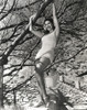 Jinx Falkenburg Hanging on a Tree Photo Print - Item # VARCEL688970