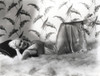 Alice Faye Photo Print - Item # VARCEL689044