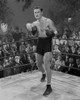 Errol Flynn Posed in Boxing Ring Photo Print - Item # VARCEL689186