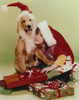 Soleil Moon Frye Taking a Picture with Dog wearing a Santa Hat Photo Print - Item # VARCEL689524