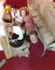 Land Of The Giants Cast Group Picture Photo Print - Item # VARCEL690024