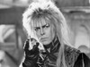 Film still from Labyrinth Photo Print - Item # VARCEL690827