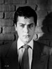 Tony Curtis Photo Print - Item # VARCEL691344