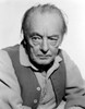 Harry Davenport in Blazer With White Background Photo Print - Item # VARCEL691363