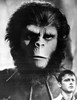 Roddy Macdowell Photo Print - Item # VARCEL692454