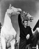 James Dean Posed in Black Long Sleeve V-Neck Shirt with Right Hand Holding on a White Horse Figure Photo Print - Item # VARCEL694081