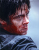 Benicio Del Toro Bleeding Close Up Portrait Photo Print - Item # VARCEL694567