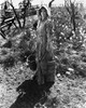 A Film Still From Gone with the Wind Photo Print - Item # VARCEL695160