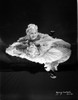 A Portrait Of Mary Carlisle Photo Print - Item # VARCEL695688