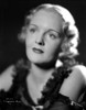 Virginia Pine Looking Up Portrait Photo Print - Item # VARCEL703123