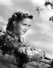 Debbie Reynolds on a Checkered Top and Leaning Photo Print - Item # VARCEL703592