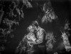 A scene from Cattle Queen of Montana Photo Print - Item # VARCEL704911