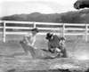 A scene from never a Dull Moment Photo Print - Item # VARCEL705092