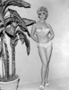 A Scene From Marriage on the Rocks Photo Print - Item # VARCEL705430
