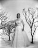Vera Miles photographed with leaveless trees, wearing a white tule ballgown, with tule quartered sleeves Photo Print - Item # VARCEL706578