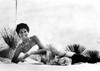 A portrait of Ali MacGraw Photo Print - Item # VARCEL706926