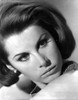 Stefanie Powers in Black and White Close Up Portrait Photo Print - Item # VARCEL707248
