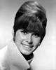 Stefanie Powers smiling in Black and White Close Up Portrait wearing Winter Coat Photo Print - Item # VARCEL707263