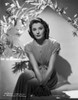 Barbara Stanwyck sitting in Dress Classic Portrait Photo Print - Item # VARCEL707592