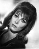 Lee Grant Close Up Portrait in Classic Photo Print - Item # VARCEL707765
