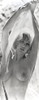 Stella Stevens Exposed chest in Black and White Portrait Photo Print - Item # VARCEL707829