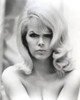 Stella Stevens Nude in Black and White Close Up Portrait Photo Print - Item # VARCEL707833