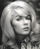Stella Stevens Close-up Classic Portrait Photo Print - Item # VARCEL707827