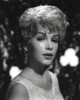 Stella Stevens Posed in Sleeveless Classic Portrait Photo Print - Item # VARCEL707859