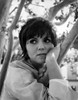 Brenda Vacarro Posed in Classic Photo Print - Item # VARCEL707923