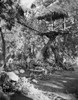 Johnny Weissmuller sitting on a Hanging Bridge in a Movie Scene Photo Print - Item # VARCEL709350