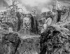 Johnny Weissmuller standing on a Cliff in a Classic Movie Scene Photo Print - Item # VARCEL709382