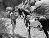 Johnny Weissmuller Feeding His Horse in a Classic Movie Scene Photo Print - Item # VARCEL709385